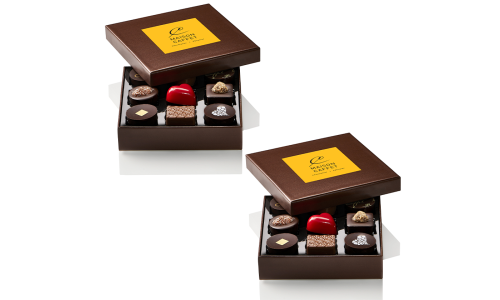 Lot de 2 Coffrets Exploration 9 chocolats en assortiment