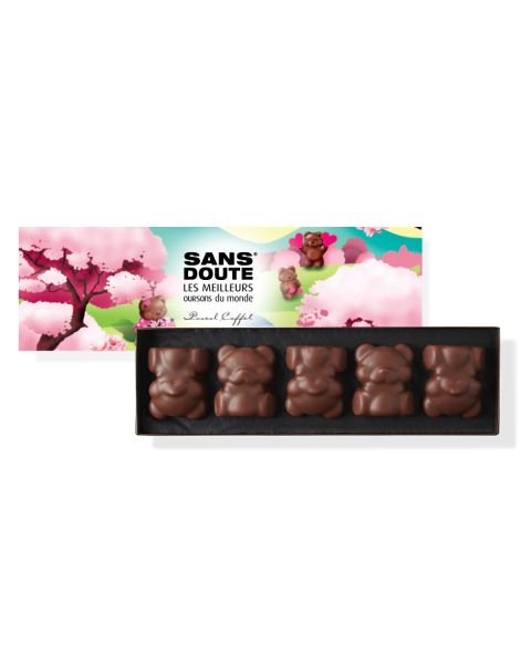 Coffret 15 Oursons praliné guimauve - 430g