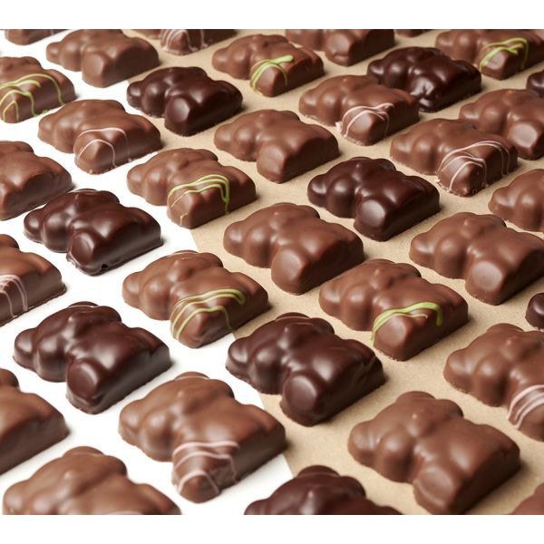 Box of assorted marshmallow and praline teddy bear