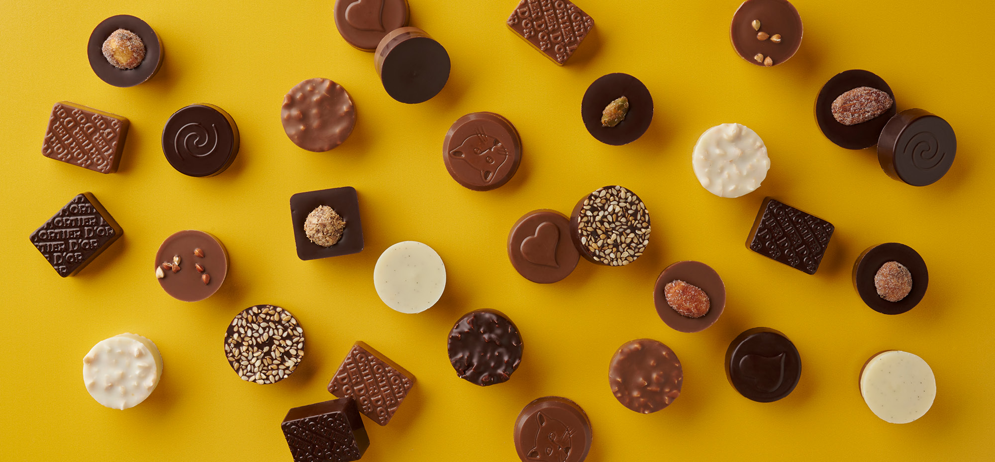 What Is Praliné Chocolate? Discover the Excellence and Expertise of Maison Caffet